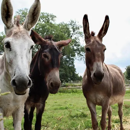 Il Capannone Country house Montemerano